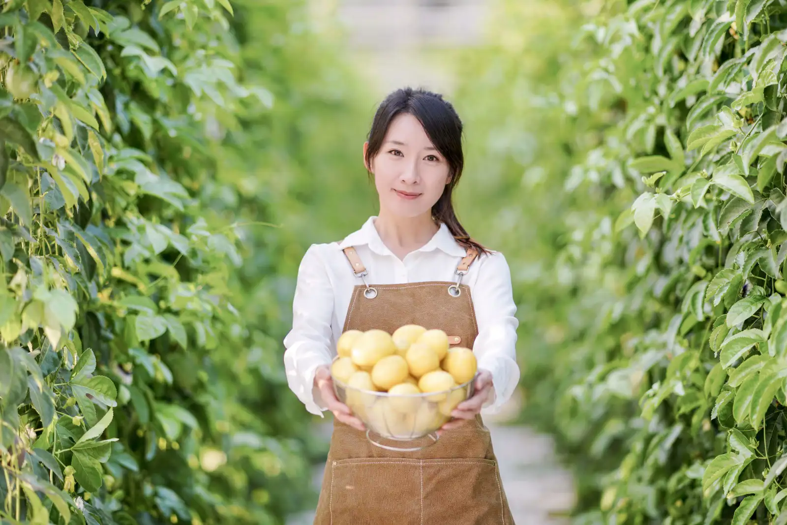 國際現場：羅興亞人現場