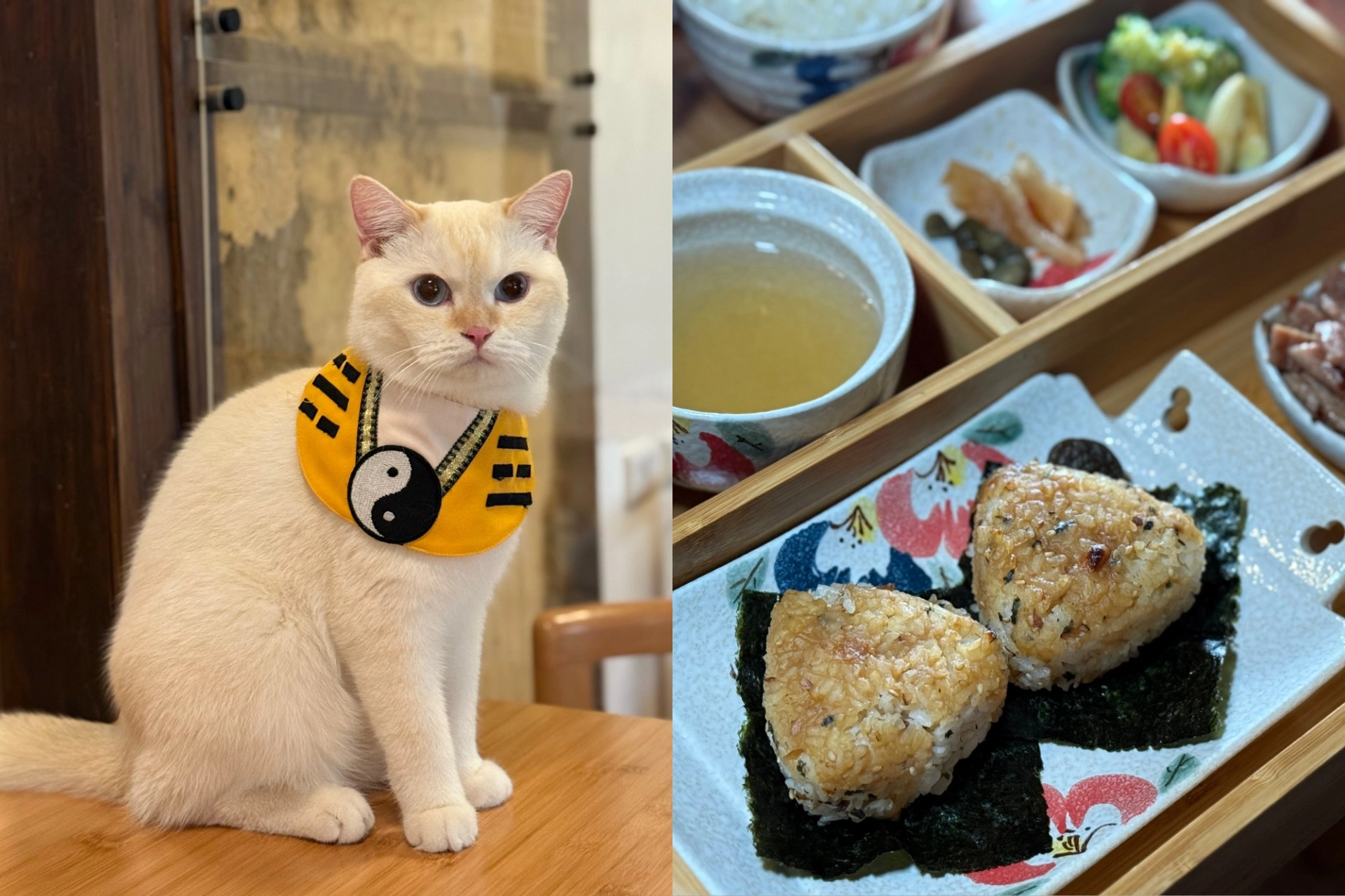 台南新開幕貓咪咖啡廳「角落有貓」！在日式老屋盡情擼貓　必吃烤飯糰、雞蛋糕 -- 上報