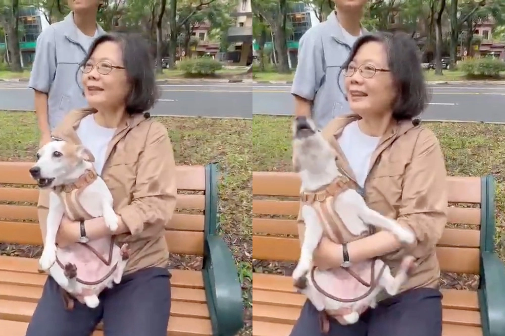 蔡英文現身力挺同志遊行 愛犬亂叫急喊「樂樂沒禮貌」民眾笑翻 -- 上報