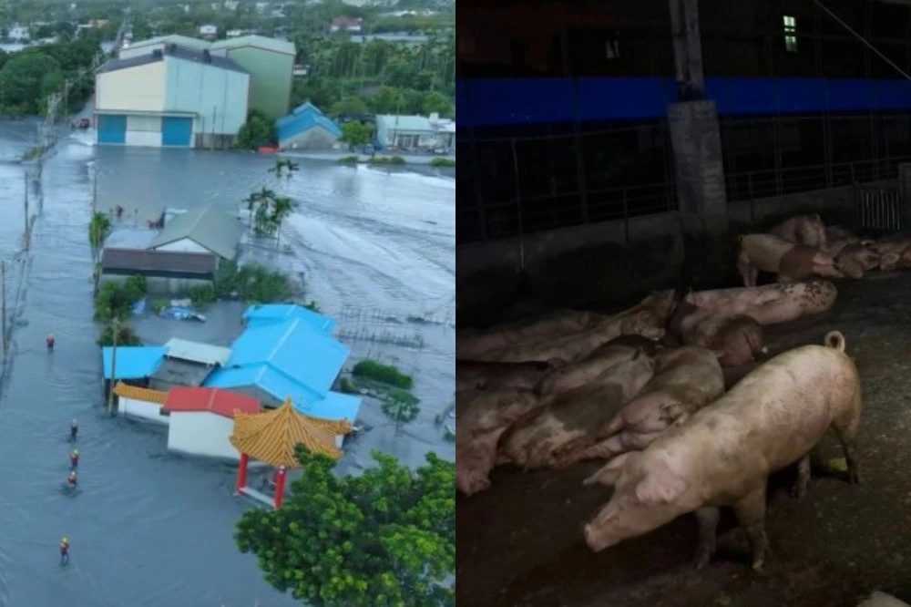 李濠仲專欄:選民未必獎勵優秀 卻會嚴懲糟糕 -- 上報