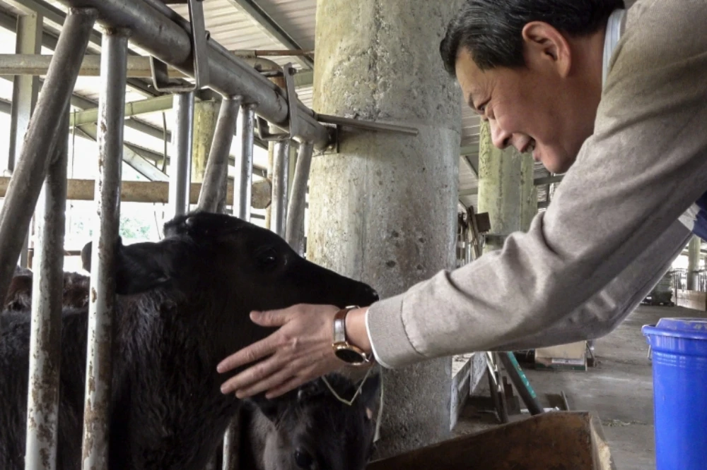 但碼牛