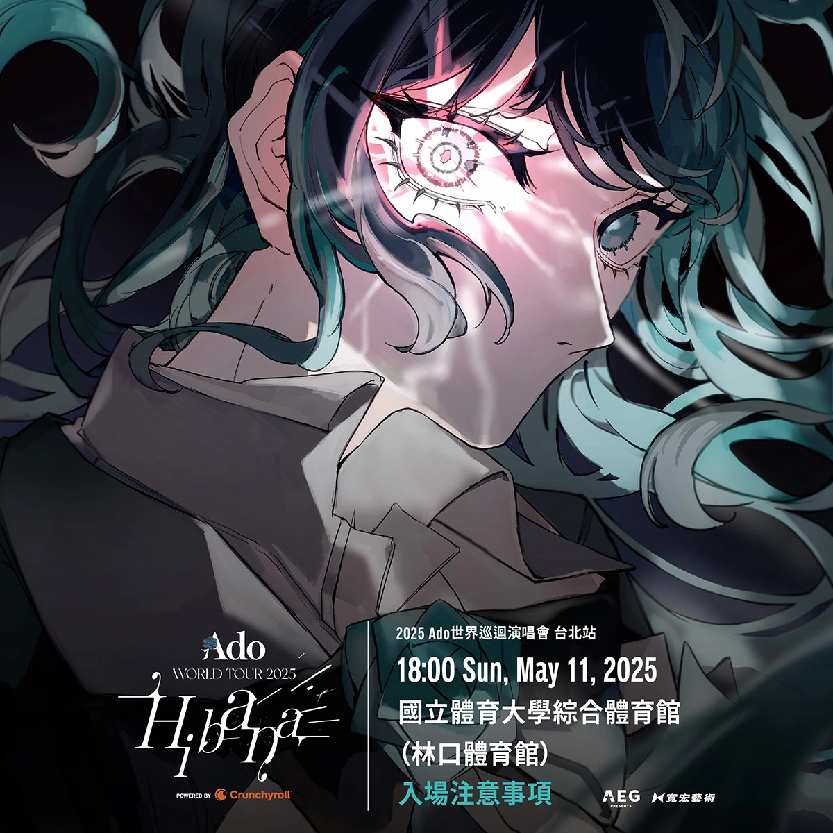 「Ado WORLD TOUR 2025 “Hibana”」台北場（來源：寬宏藝術）