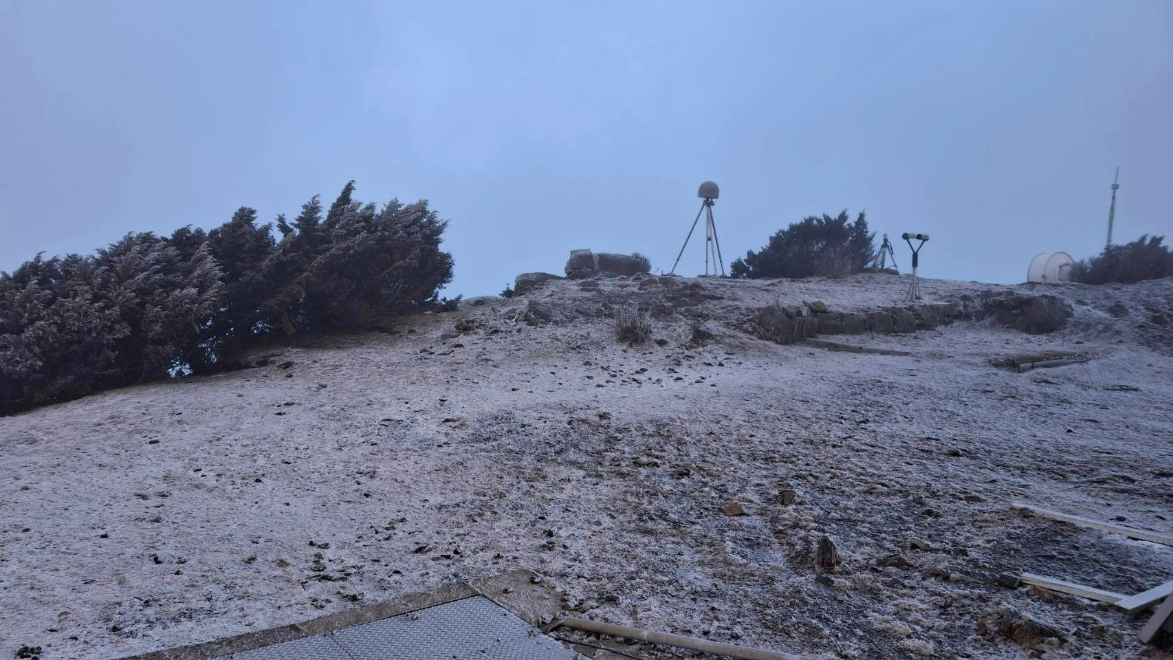 中央氣象署表示，阿里山今晨出現2018年以來首度降雪，玉山深夜則因固態降水形成霧淞景觀。（中央氣象署提供）