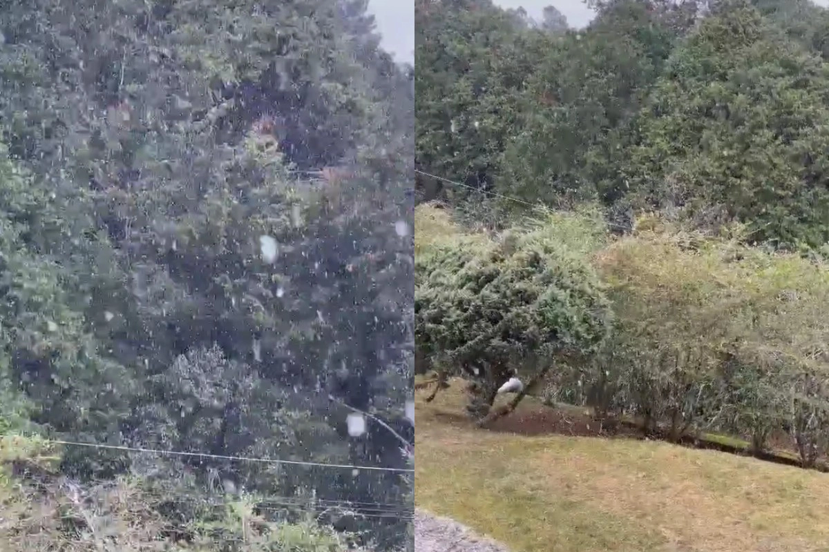中央氣象署指出，阿里山清晨飄雪，為2018年後再度降雪，玉山夜間則出現霧淞景象。（中央氣象署提供）