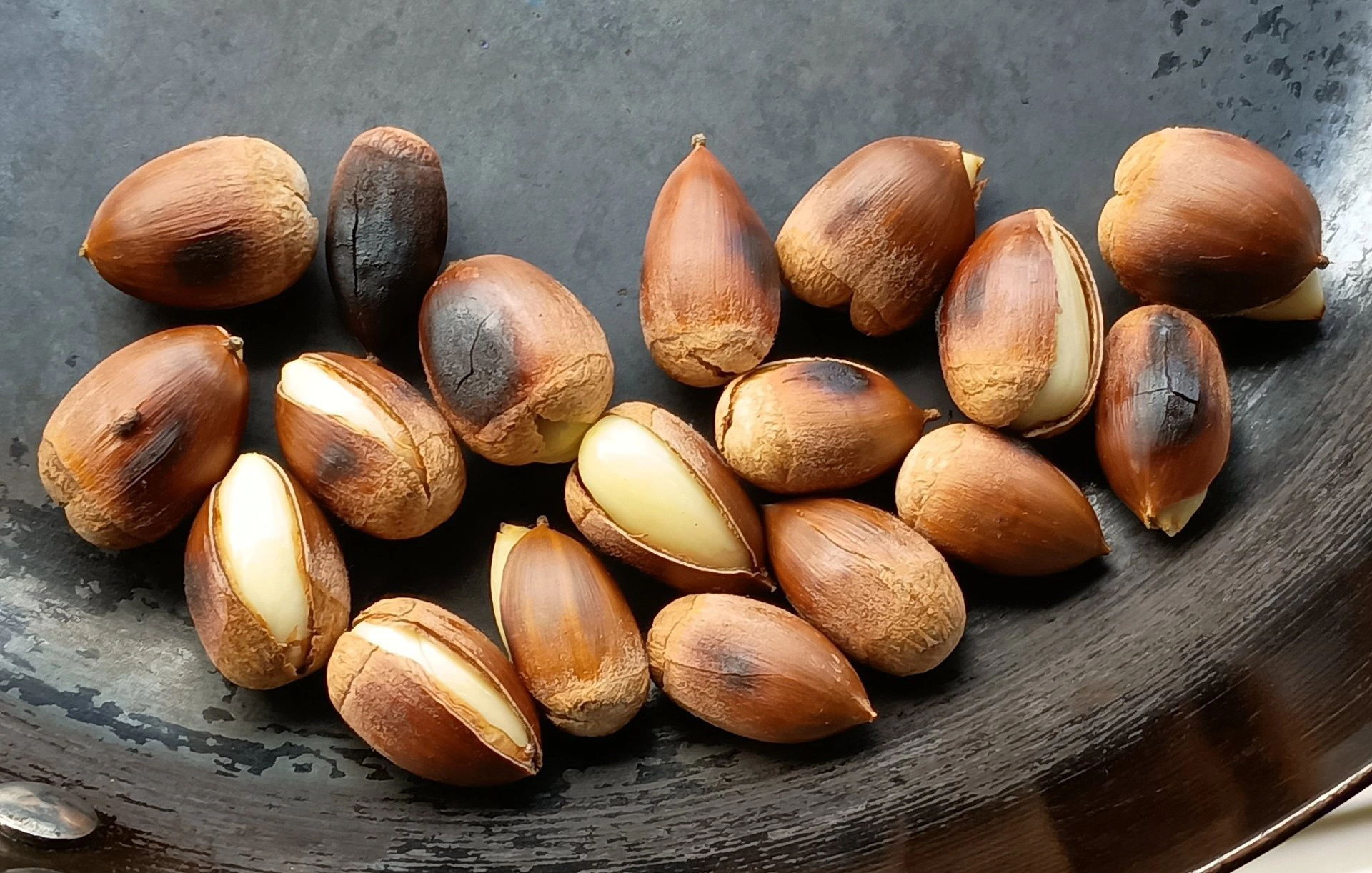 熊時常食用的橡實。（資料照片／取自X @kusakiya）