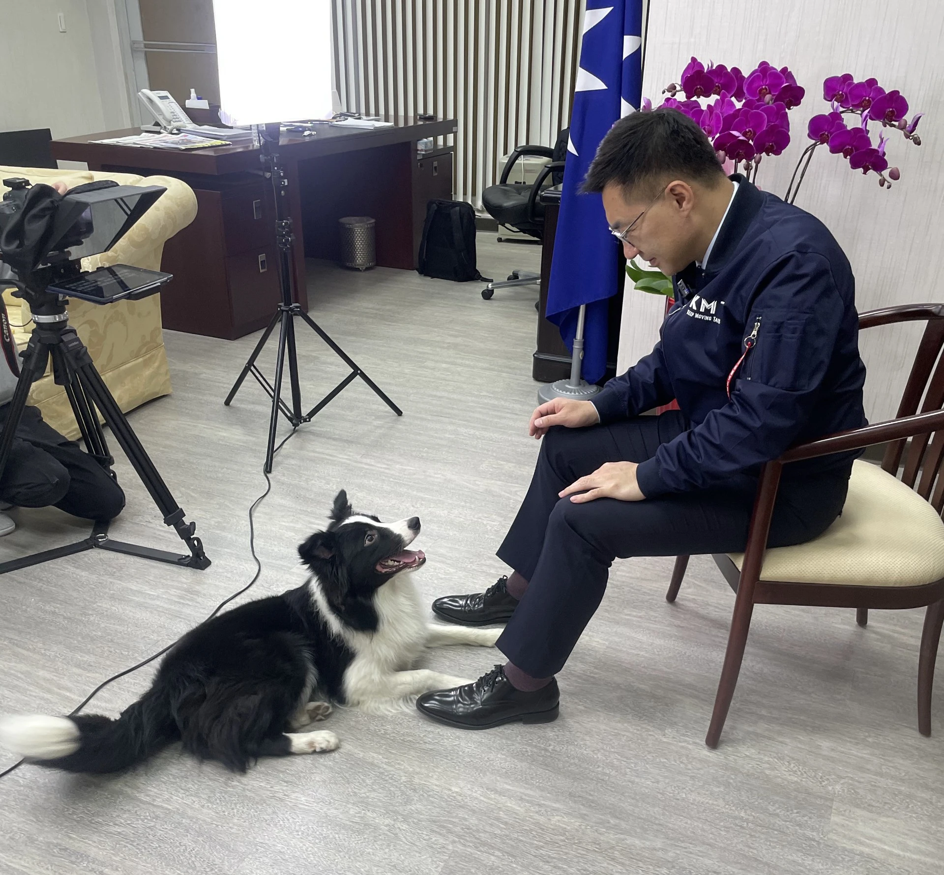寵物雖然不會說話,卻會用陪伴來填補家中空缺的位置,不少飼主也將寵物視為家人。(陳冠安提供)