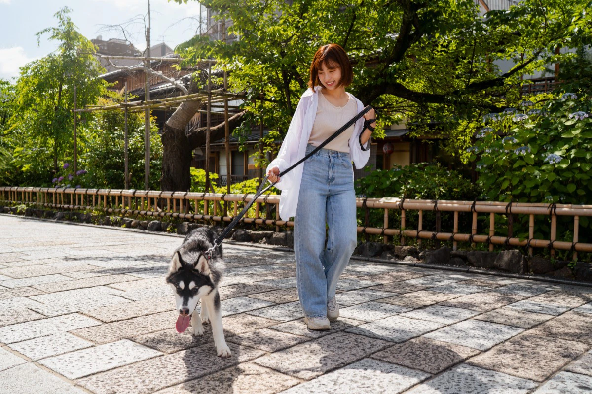 民眾帶寵物到公園散步,卻因權責管理不一而發生衝突。(取自freepik)