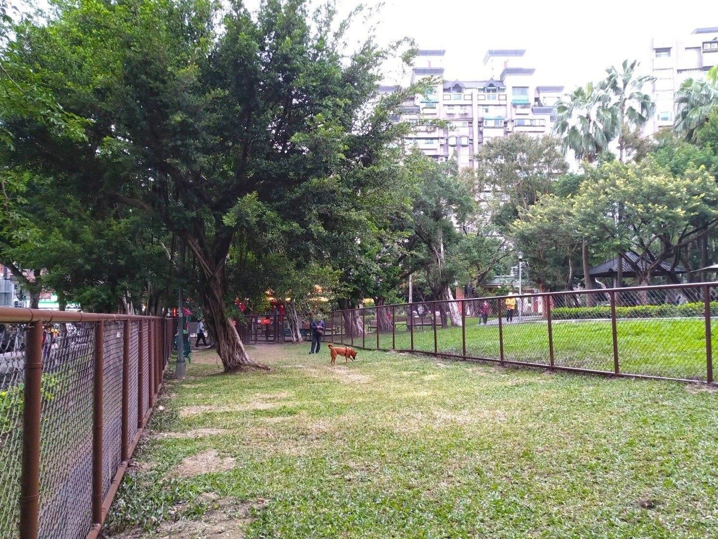 北市設立不少寵物公園,陳冠安認為功能單一、設備也相對簡化。(取自北市動保處官網)