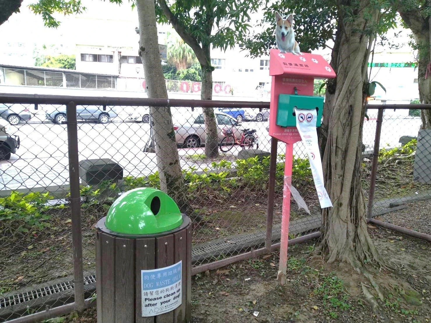 北市設立不少寵物公園,陳冠安認為功能單一、設備也相對簡化。(取自北市動保處官網)