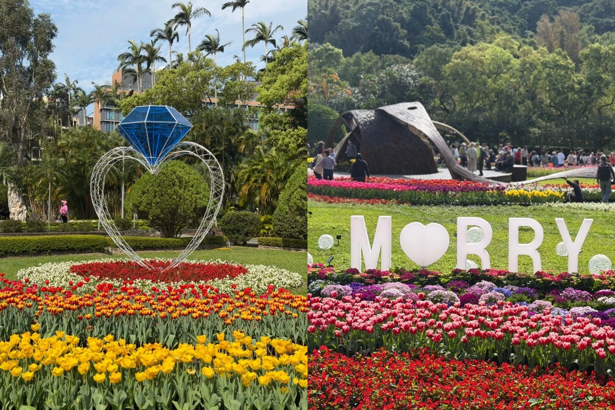 2026 士林官邸鬱金香展浪漫登場!11 萬株花海 5 大展區美翻天、必拍巨型鑽戒造景 -- 上報