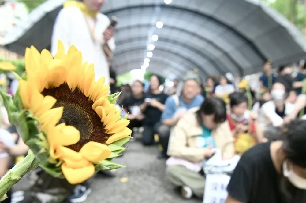 開在不同時空的太陽花── 一個服貿過關的台灣 -- 上報