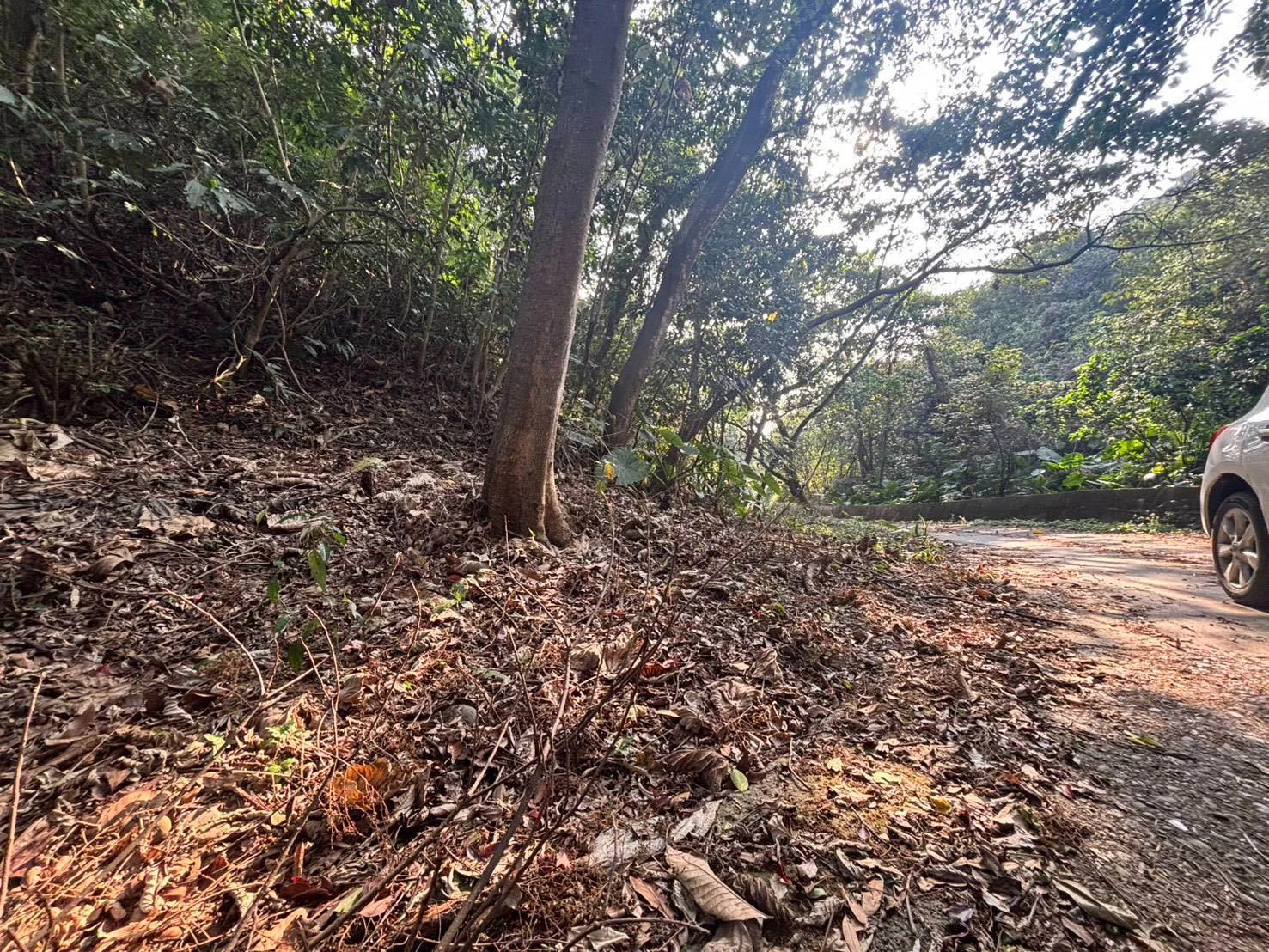 百果山削臉毀容命案2嫌收押 兇手不滿死者供毒害外甥擄人虐殺 -- 上報