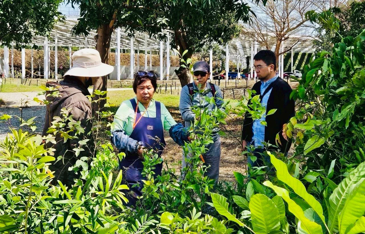台中市建設局攜手國立自然科學博物館植物園,共同合作「原生植物培育計 畫」,透過專家指導與實地植栽,逐步建立都市原生植物苗庫。(圖/台中市政府建設局)