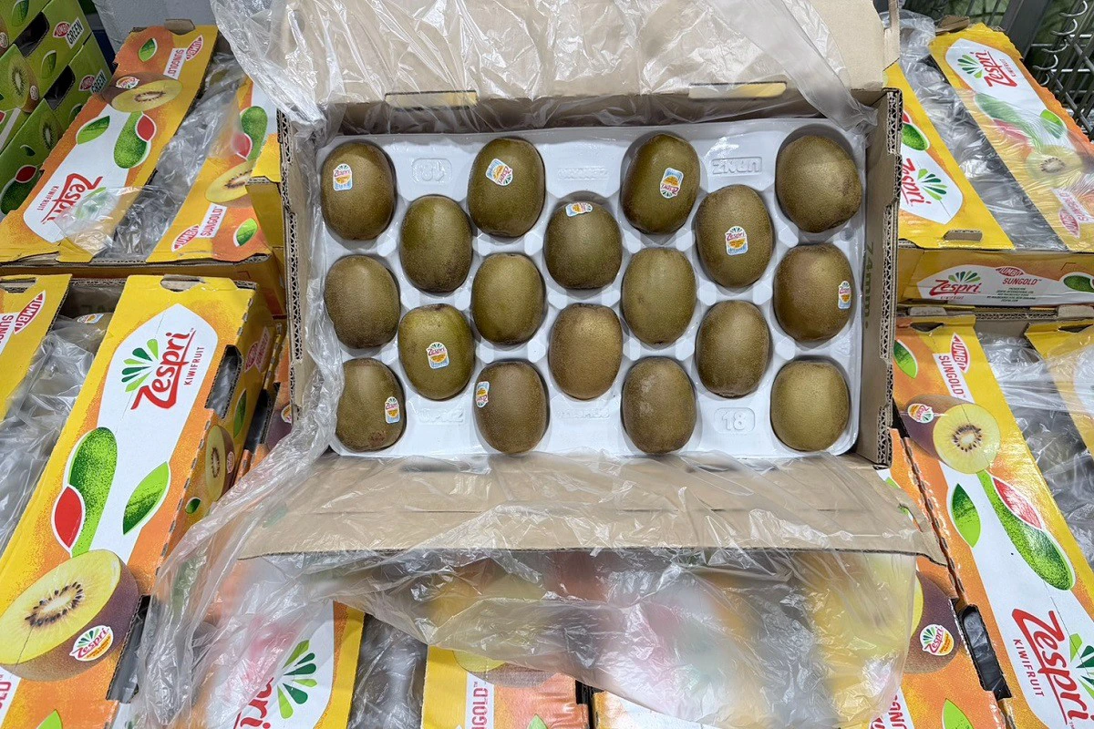 好市多推盛夏好康　買Zespri陽光金圓頭奇異果送購物袋