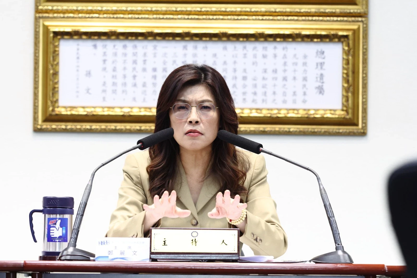 趙少康提「現金照恐是向北京交代」　鄭麗文反嗆：紅帽子扣太大了