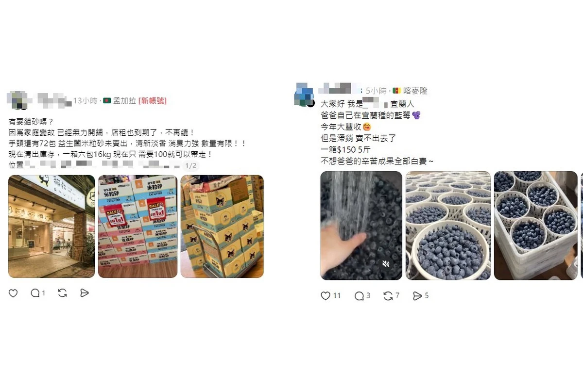 從水果騙到毛小孩！境外假帳號冒充台灣賣家　低價、送養全是陷阱