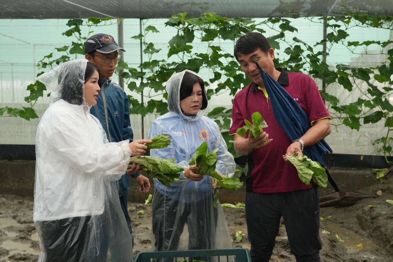 雲林暴雨傷葉菜！張麗善、張嘉郡勘災：加速查報爭補助、改善排水灌溉系統