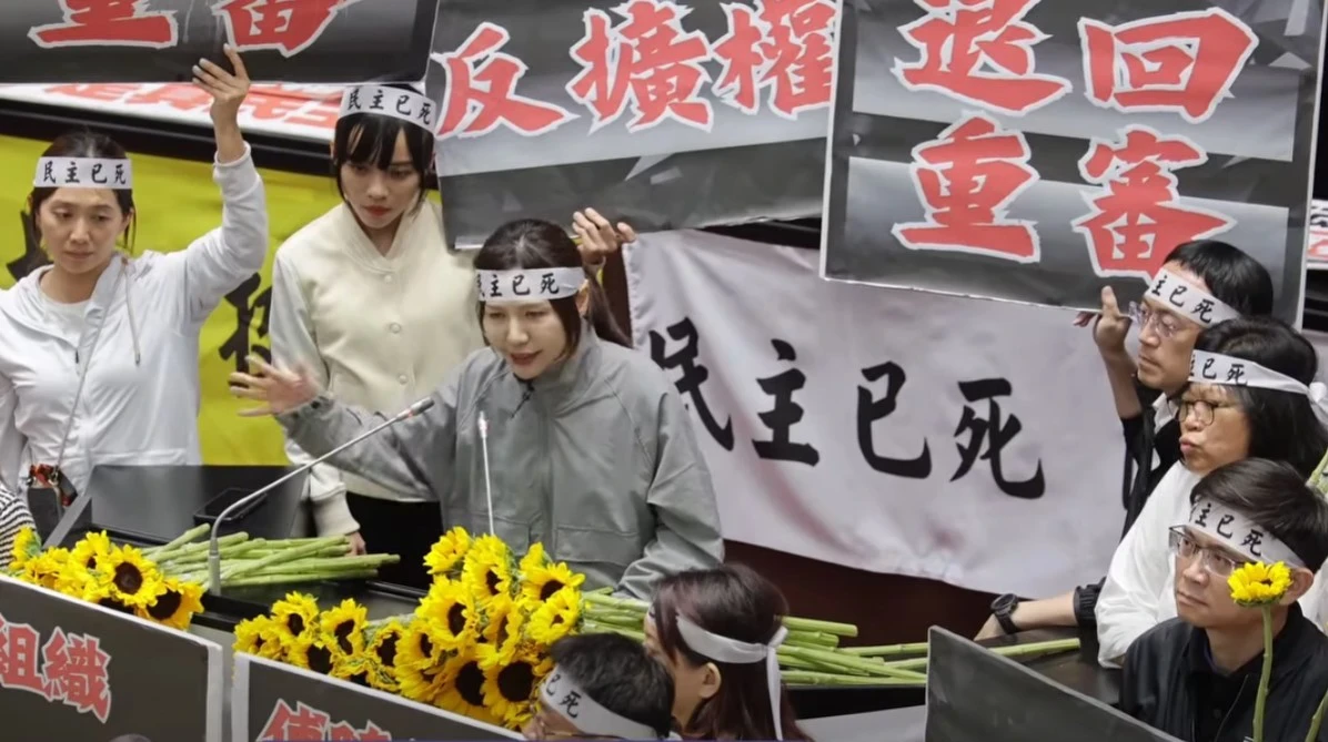 吳沛憶以黨內「太陽花世代」指標身分接棒，主打年輕女力。（取自吳沛憶臉書）