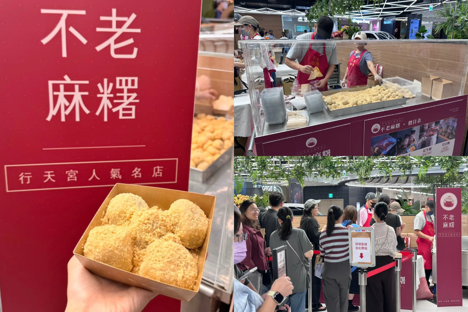 行天宮排隊名店「不老麻糬」快閃大巨蛋美食街!5種包餡麻糬、草仔粿開賣 外國遊客也排隊