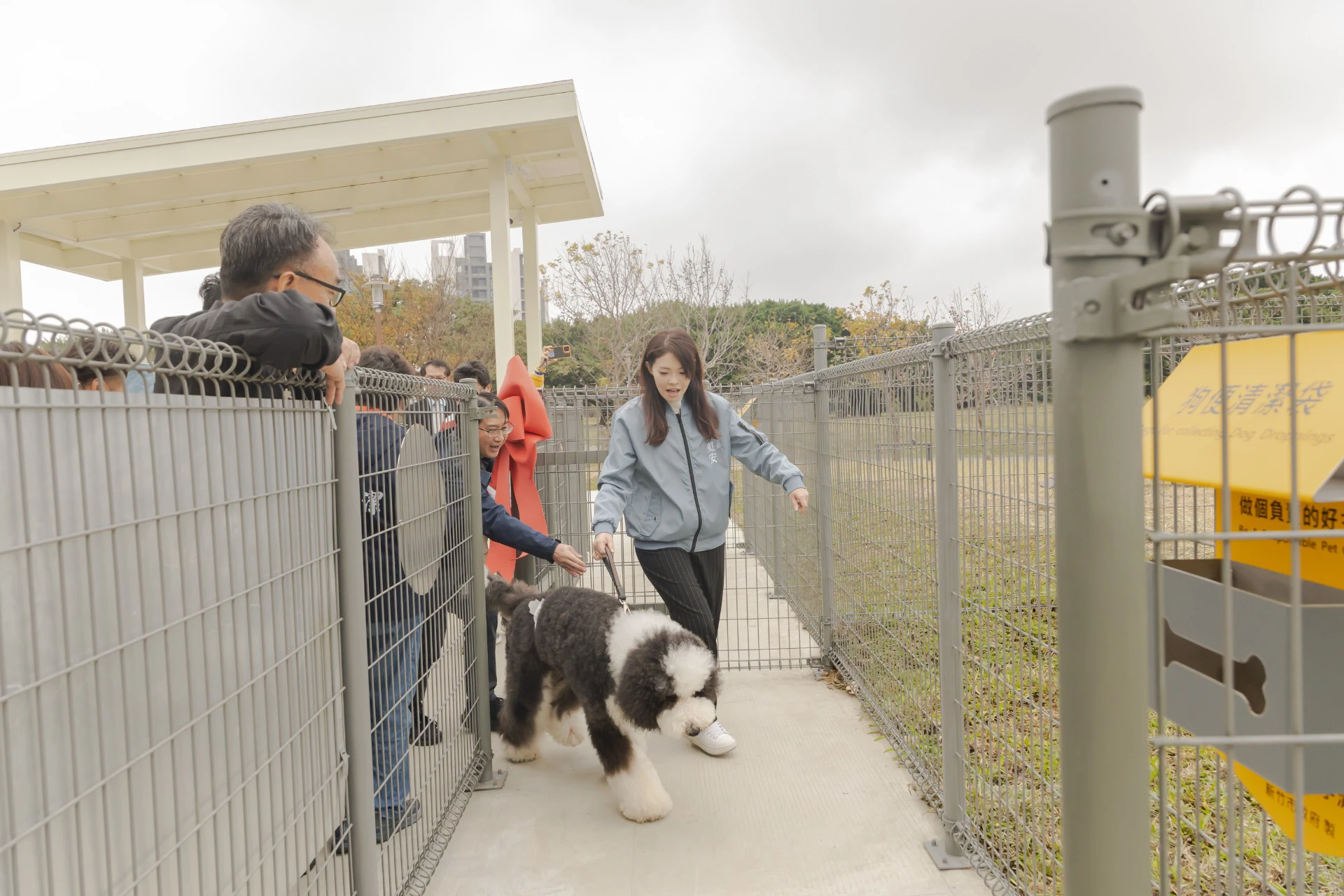 新竹市推動「一區一寵物公園」，持續增加毛小孩活動空間，並依不同犬隻需求規劃相關設施。（新竹市政府提供）