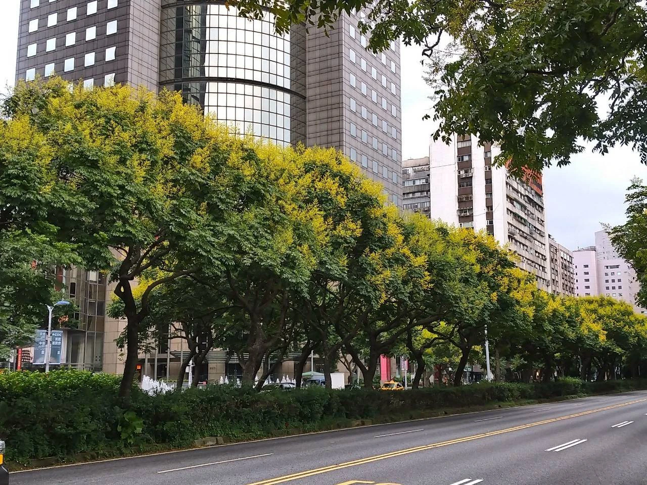 他揭北市衛星數據2年來少1.3萬棵樹　公園處：中央建設也有影響