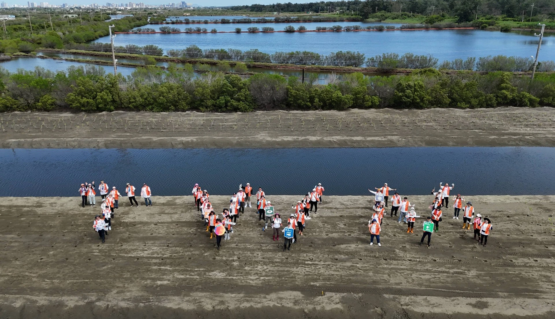 廢棄魚塭也能翻轉成為碳匯基地？從台江國家公園紅樹林復育認識藍碳