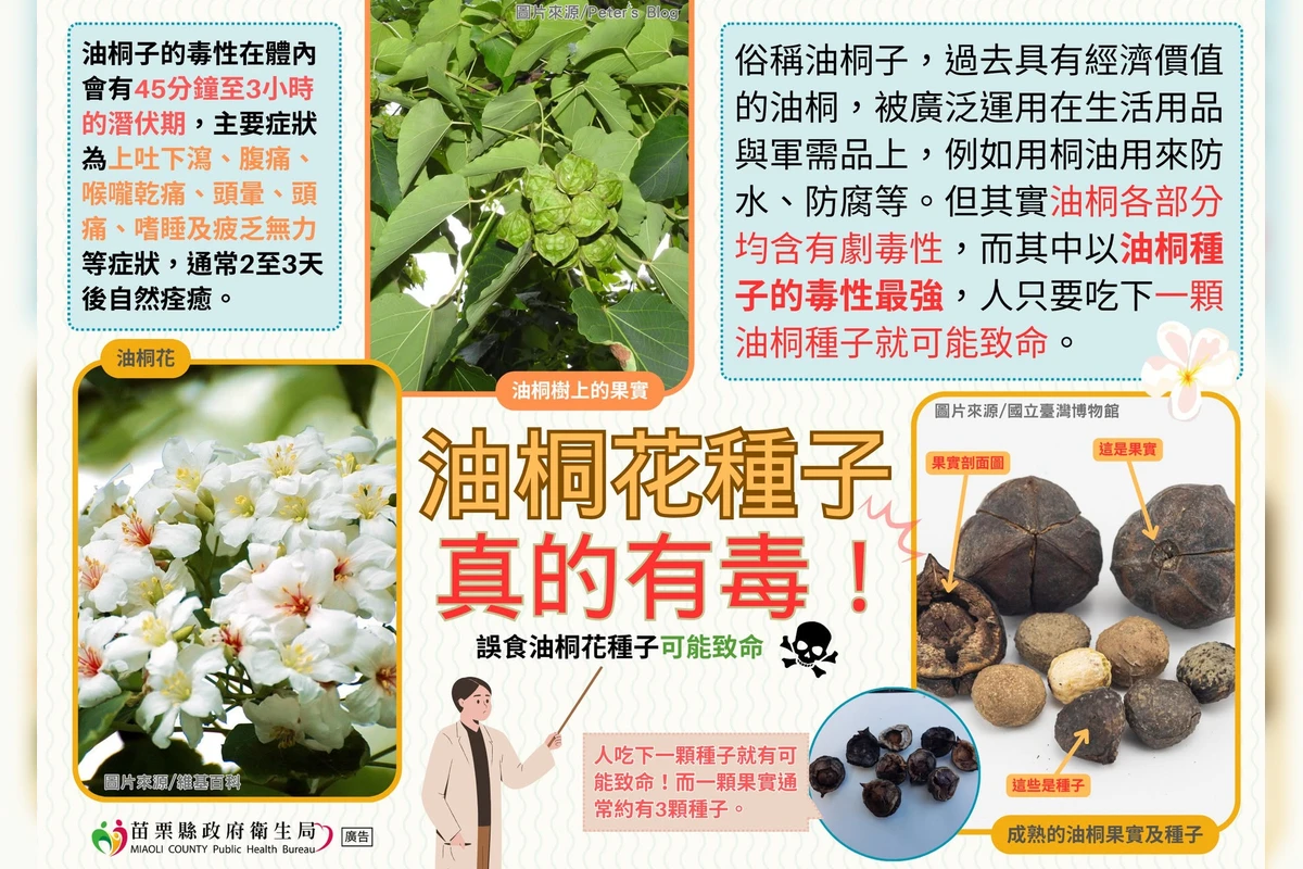 陽明山知名私校出事　6生誤食「油桐子」身體不適送醫