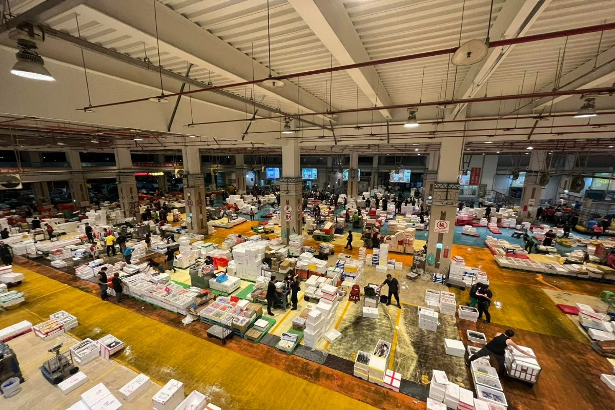自詡「領導有方」溢領122萬獎金　台中魚市場董座遭撤職、追討款項