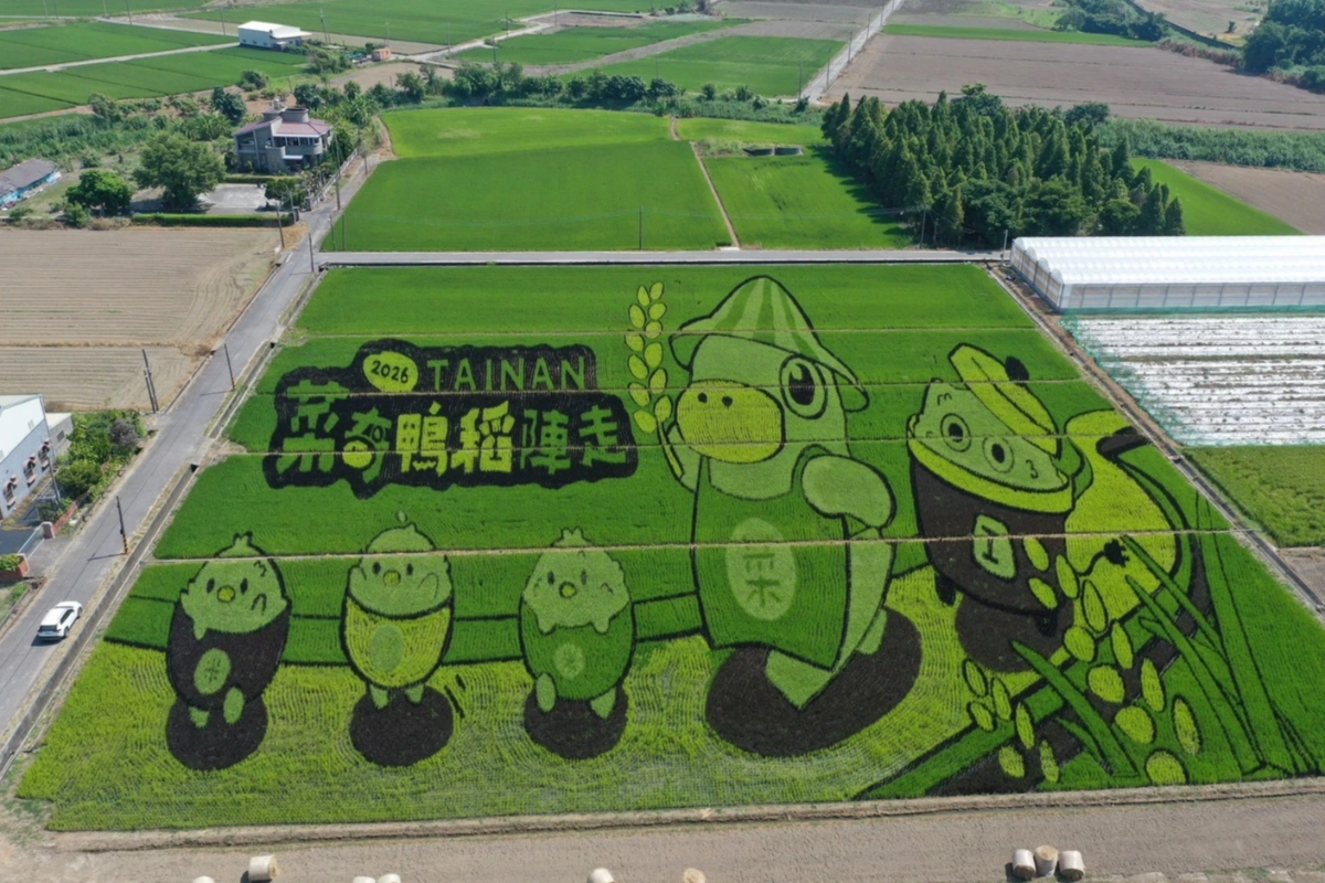 2026臺南好米季人氣旺！「菜奇鴨稻陣走」突破1萬6,000人次　把握最後展期搶限定好禮