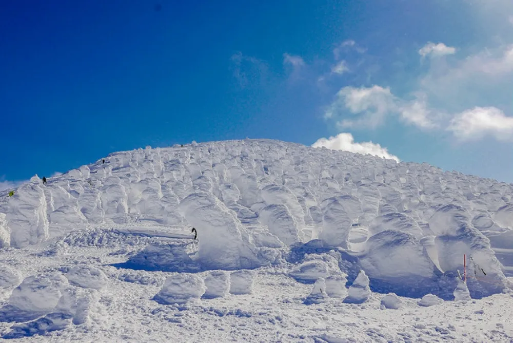《阿信》的故鄉：雪國山形的百變風貌