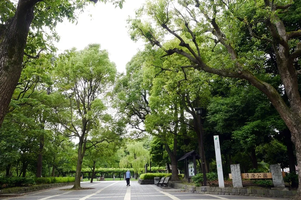 東京新興景點　清澄白河