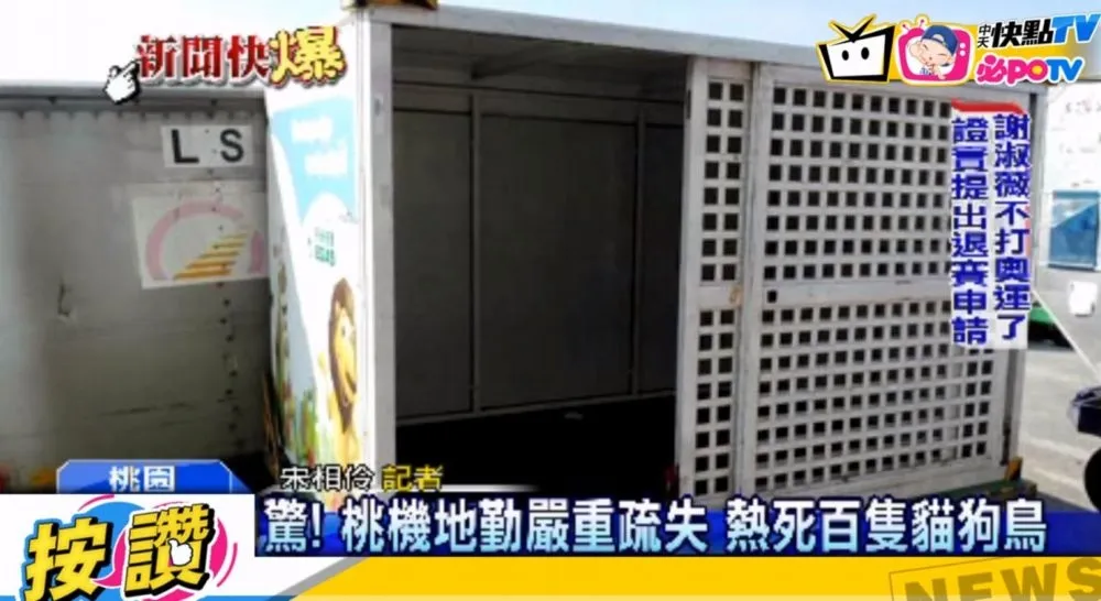 桃勤疏失熱死千隻鳥3貓狗　倖存2犬搶救中