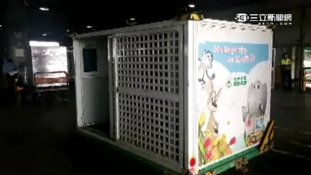 悶死3隻貓狗、上千隻鳥　國內空運動物首例