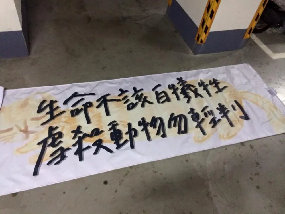 虐殺大橘子首開庭　動保團體到場發聲