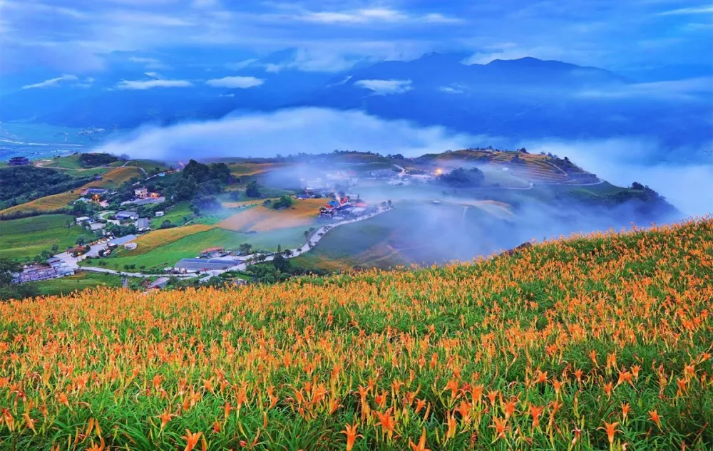 情留花蓮　同享音樂、美景、文化的多元之旅