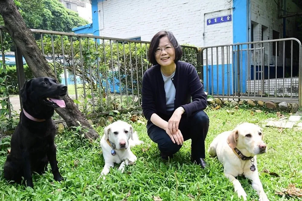 小英兒女成群　3隻拉拉加上蔡想想、蔡阿才　一家6口好溫馨