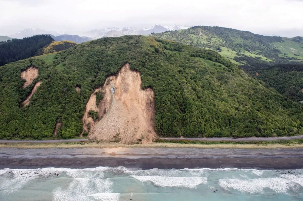 【紐西蘭7.8強震】賞鯨聖地受重創　災損估百億