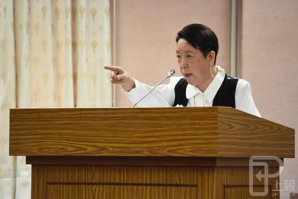  【婚姻平權公聽會】謝啟大：難道要為少數人　把所有路鋪上導盲磚嗎？