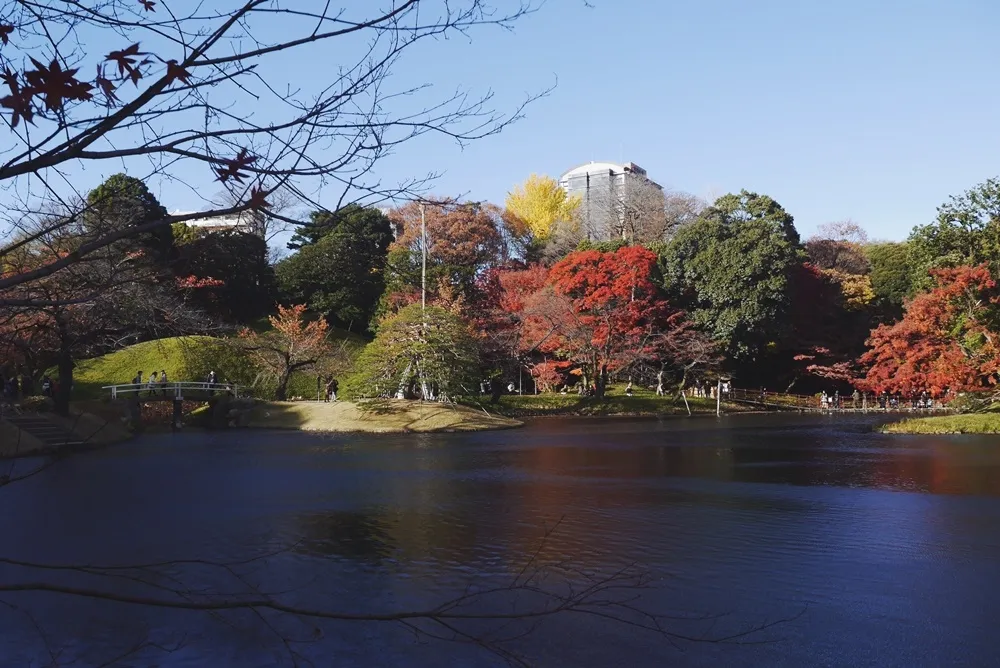 【楓紅】感受東京「小石川後樂園」的傳統庭園風情