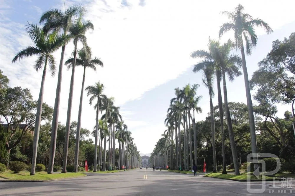 台大減招政策不當？　政大教授：看見台大的驕傲，讓人噁心！