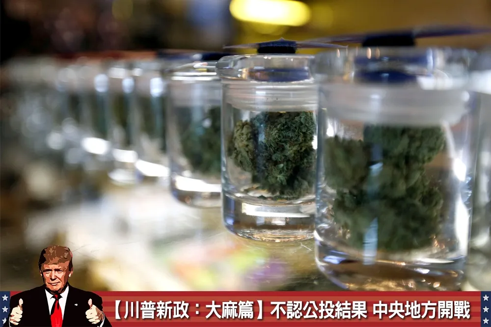 【川普新政：大麻篇】不認公投結果　中央地方開戰