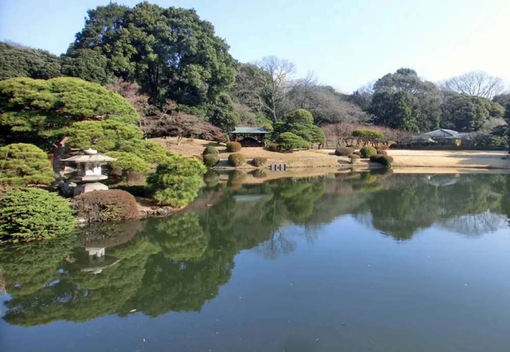 日本新宿御苑售票員英文不佳　索性免費放行16萬遊客入園