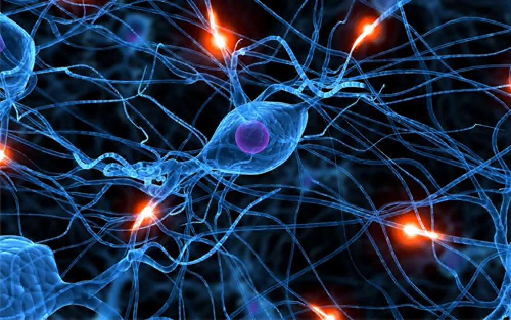 心理學家研究　繪畫可預測腦部病變？