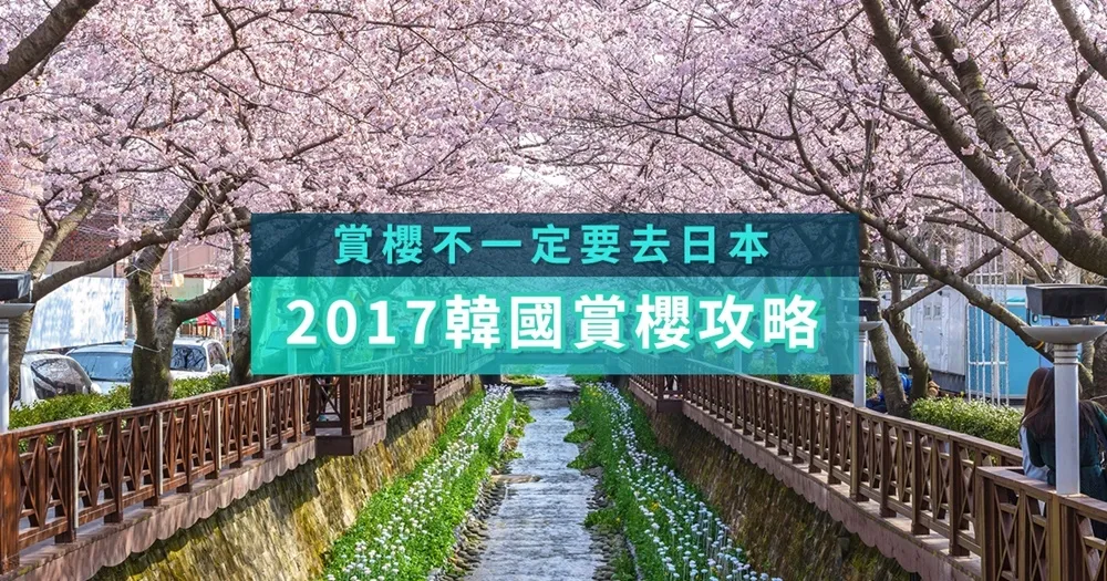 該訂機票了！3月韓國賞櫻祕境大公開