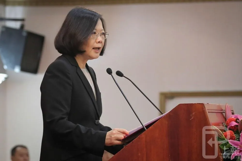 文總藍綠攻防戰落幕　最快15天後蔡英文接任新會長
