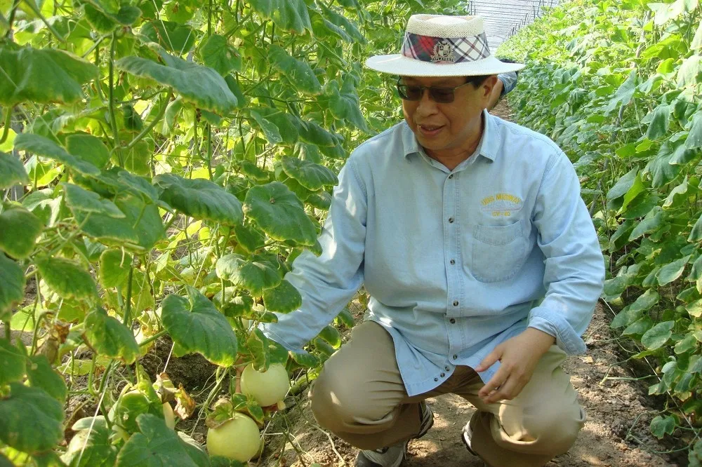 名嘴汪笨湖病逝成大　享壽65歲