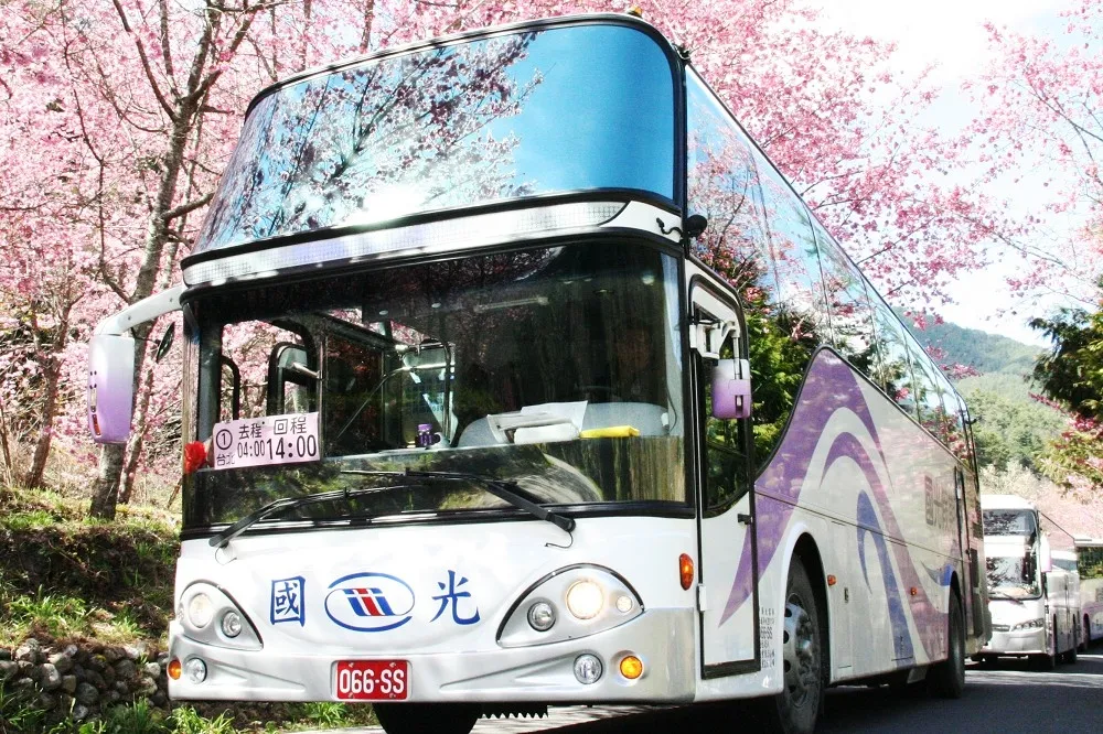 路程過長、載客率低　 國光客運阿里山賞花直達車急喊卡