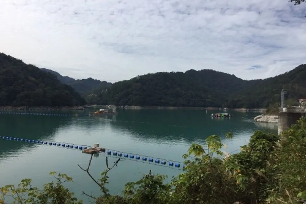 【入不敷出】連日雨難解渴　石門水庫僅進帳390萬噸