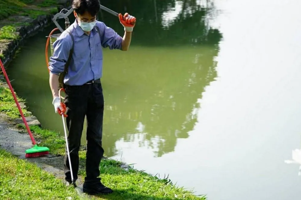 北市今年首例　碧湖公園鴨屍確診禽流感