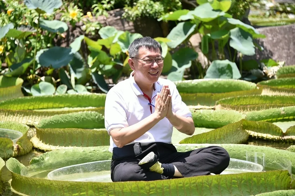 陳嘉宏專欄：柯文哲還記得黃珊珊怎麼落選嗎